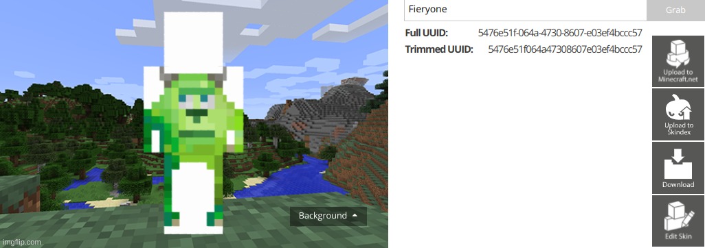 You can look up any Minecraft player's skin on this website. | made w/ Imgflip meme maker