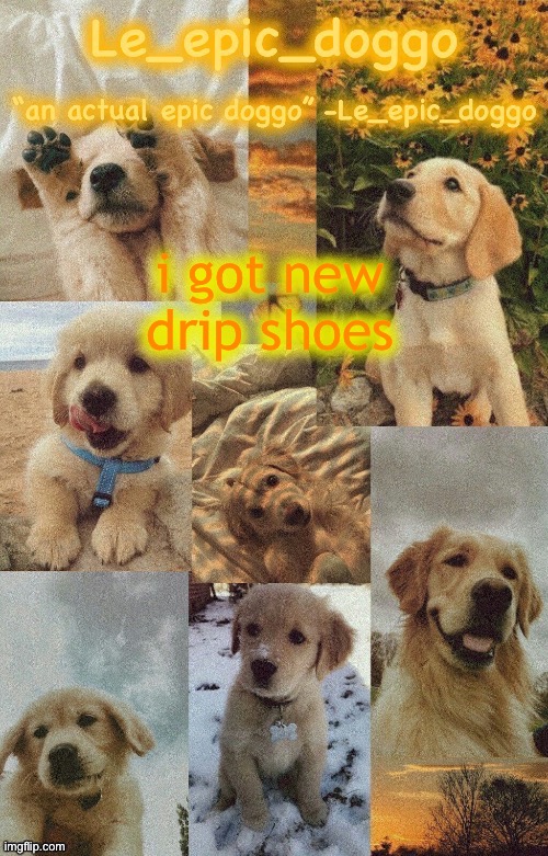 Doggo temp by doggo. Wait what that’s confusing | i got new drip shoes | image tagged in doggo temp by doggo wait what that s confusing | made w/ Imgflip meme maker