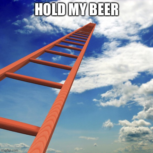 ladder to the sky | HOLD MY BEER | image tagged in ladder to the sky | made w/ Imgflip meme maker