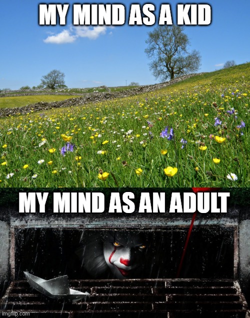  MY MIND AS A KID; MY MIND AS AN ADULT | image tagged in mind | made w/ Imgflip meme maker