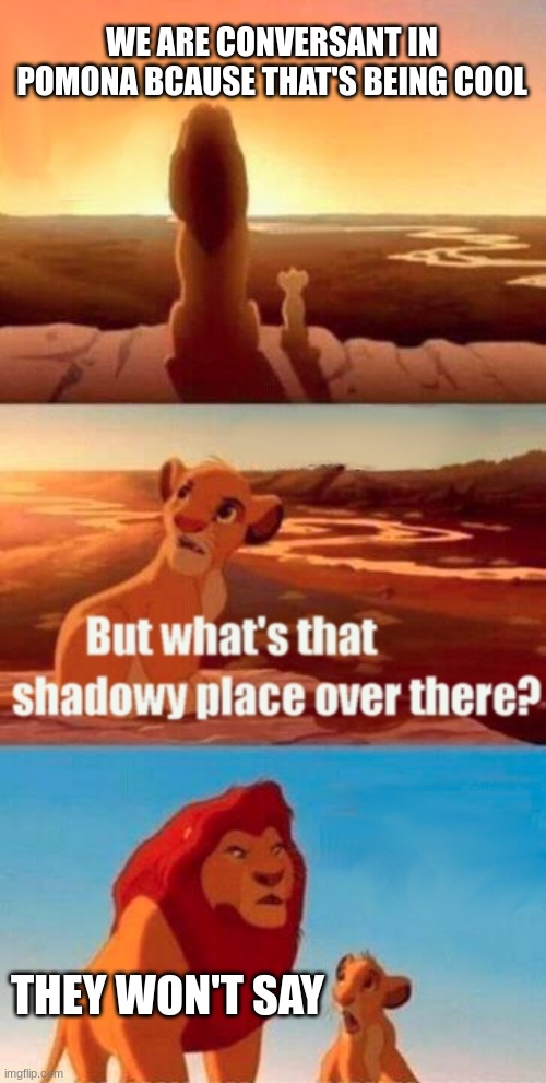 Overloaded. | WE ARE CONVERSANT IN POMONA BCAUSE THAT'S BEING COOL; THEY WON'T SAY | image tagged in memes,simba shadowy place | made w/ Imgflip meme maker