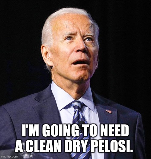 Joe Biden | I’M GOING TO NEED A CLEAN DRY PELOSI. | image tagged in joe biden | made w/ Imgflip meme maker