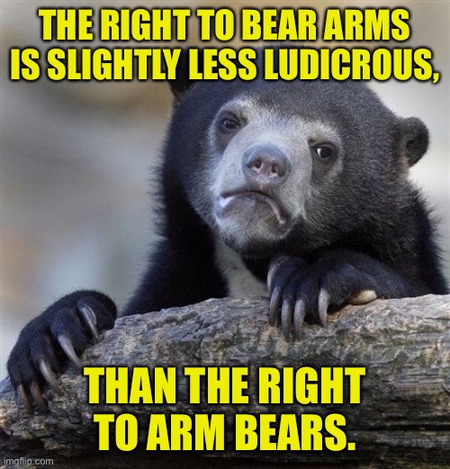 The right to bear arms - Imgflip