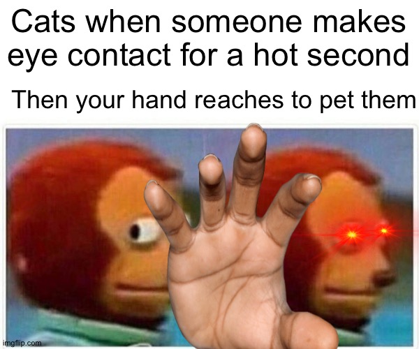 This happens to some people | Cats when someone makes eye contact for a hot second; Then your hand reaches to pet them | image tagged in memes,monkey puppet | made w/ Imgflip meme maker
