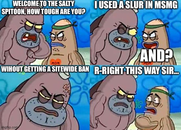 Welcome to the Salty Spitoon | WELCOME TO THE SALTY SPITOON, HOW TOUGH ARE YOU? I USED A SLUR IN MSMG; AND? WIHOUT GETTING A SITEWIDE BAN; R-RIGHT THIS WAY SIR… | image tagged in welcome to the salty spitoon | made w/ Imgflip meme maker