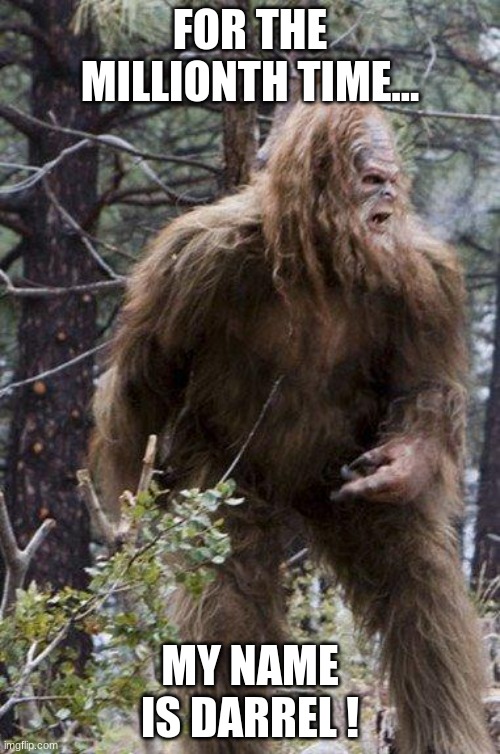 Bigfoot/Darrel from the progressive commercial | FOR THE MILLIONTH TIME... MY NAME IS DARREL ! | image tagged in sasquatch,progressive commercial | made w/ Imgflip meme maker