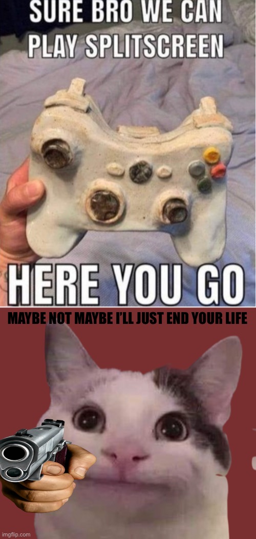 Bro want to play split screen? | MAYBE NOT MAYBE I’LL JUST END YOUR LIFE | image tagged in polite cat color change background,cats | made w/ Imgflip meme maker