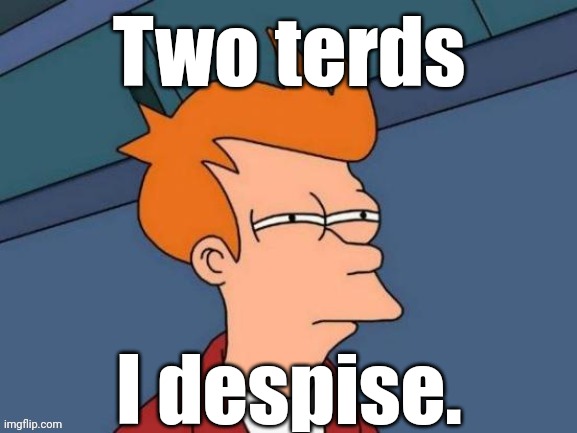 Fry is not sure... | Two terds I despise. | image tagged in fry is not sure | made w/ Imgflip meme maker