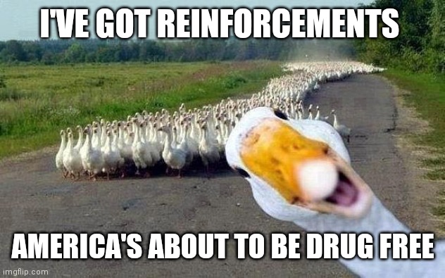 GOOSE | I'VE GOT REINFORCEMENTS AMERICA'S ABOUT TO BE DRUG FREE | image tagged in goose | made w/ Imgflip meme maker