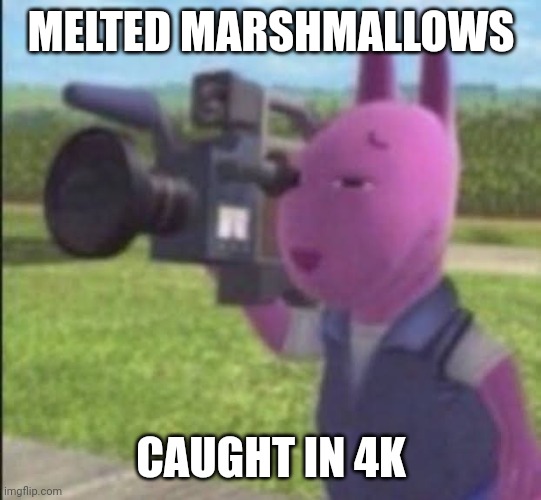 Caught in 4k | MELTED MARSHMALLOWS CAUGHT IN 4K | image tagged in caught in 4k | made w/ Imgflip meme maker