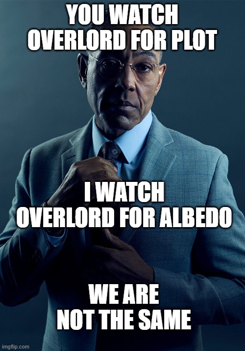Albedo supremacy | YOU WATCH OVERLORD FOR PLOT; I WATCH OVERLORD FOR ALBEDO; WE ARE NOT THE SAME | image tagged in gus fring we are not the same,overlord,anime meme | made w/ Imgflip meme maker