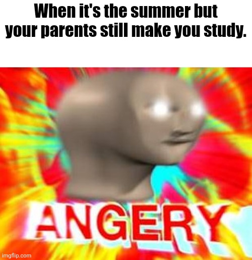 F*ck parents | When it's the summer but your parents still make you study. | image tagged in surreal angery,angry,summer,school,pain,parents | made w/ Imgflip meme maker