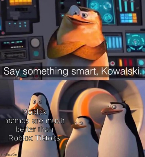 Yes | Roblox memes are much better than Roblox Tiktoks | image tagged in say something smart kowalski | made w/ Imgflip meme maker