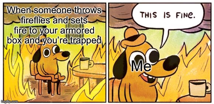 Burning Box and you’re trapped inside | When someone throws fireflies and sets fire to your armored box and you’re trapped; Me | image tagged in memes,this is fine | made w/ Imgflip meme maker