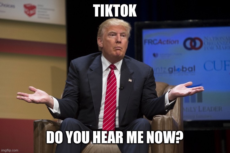 TikTok | TIKTOK; DO YOU HEAR ME NOW? | image tagged in donald trump | made w/ Imgflip meme maker