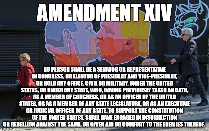 AMENDMENT XIV | AMENDMENT XIV; NO PERSON SHALL BE A SENATOR OR REPRESENTATIVE IN CONGRESS, OR ELECTOR OF PRESIDENT AND VICE-PRESIDENT, OR HOLD ANY OFFICE, CIVIL OR MILITARY, UNDER THE UNITED STATES, OR UNDER ANY STATE, WHO, HAVING PREVIOUSLY TAKEN AN OATH, AS A MEMBER OF CONGRESS, OR AS AN OFFICER OF THE UNITED STATES, OR AS A MEMBER OF ANY STATE LEGISLATURE, OR AS AN EXECUTIVE OR JUDICIAL OFFICER OF ANY STATE, TO SUPPORT THE CONSTITUTION OF THE UNITED STATES, SHALL HAVE ENGAGED IN INSURRECTION OR REBELLION AGAINST THE SAME, OR GIVEN AID OR COMFORT TO THE ENEMIES THEREOF. | image tagged in amendment 14,constitution,insurrection,rebellion,enemies,oath | made w/ Imgflip meme maker