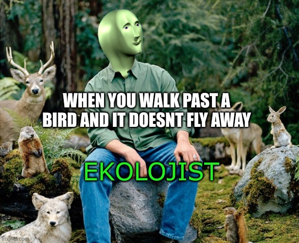 EKOLOJIST | WHEN YOU WALK PAST A BIRD AND IT DOESNT FLY AWAY; EKOLOJIST | image tagged in ekolojist | made w/ Imgflip meme maker