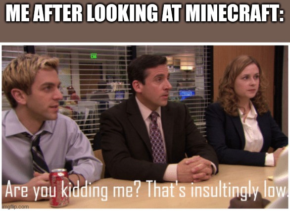Are you kidding me? That's insultingly low. | ME AFTER LOOKING AT MINECRAFT: | image tagged in are you kidding me that's insultingly low | made w/ Imgflip meme maker