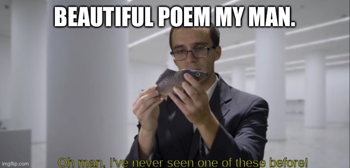 I've never seen one of these before! | BEAUTIFUL POEM MY MAN. | image tagged in i've never seen one of these before | made w/ Imgflip meme maker