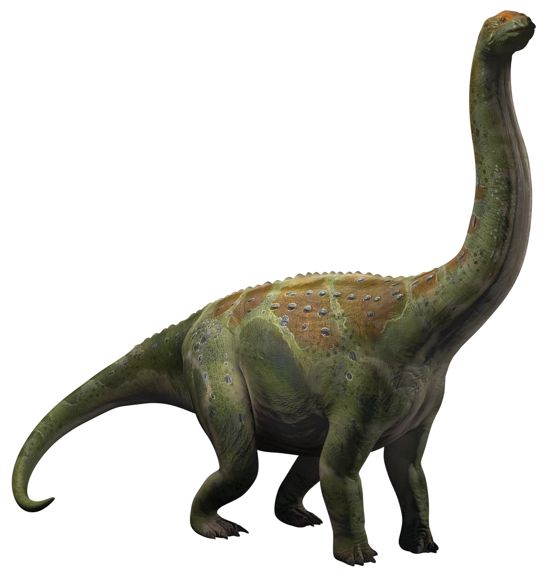 Argentinosaurus (JWA Design) Blank Meme Template