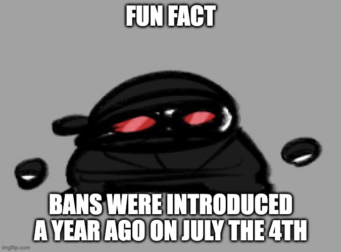 Hak | FUN FACT; BANS WERE INTRODUCED A YEAR AGO ON JULY THE 4TH | image tagged in hak | made w/ Imgflip meme maker
