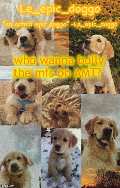 Doggo temp by doggo. Wait what that’s confusing | who wanna bully the mfs on AMT? | image tagged in doggo temp by doggo wait what that s confusing | made w/ Imgflip meme maker