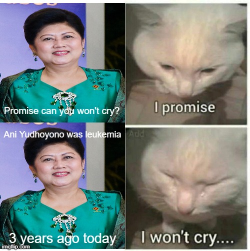 Why do you mean you can't stop with leukemia? | Promise can you won't cry? Ani Yudhoyono was leukemia; 3 years ago today | image tagged in i promise i won't cry,memes | made w/ Imgflip meme maker