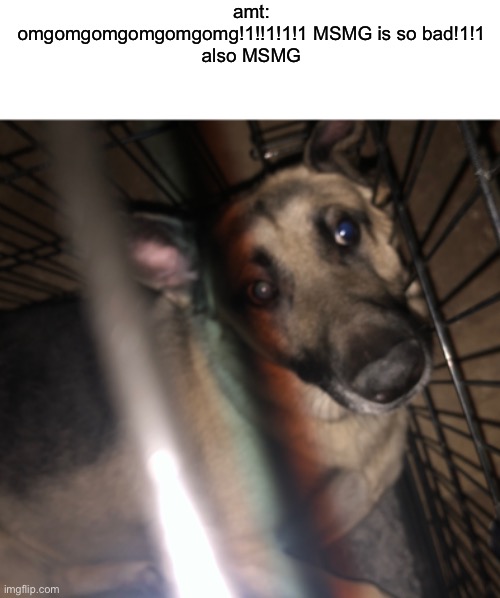 amt: omgomgomgomgomgomg!1!!1!1!1 MSMG is so bad!1!1
also MSMG | made w/ Imgflip meme maker