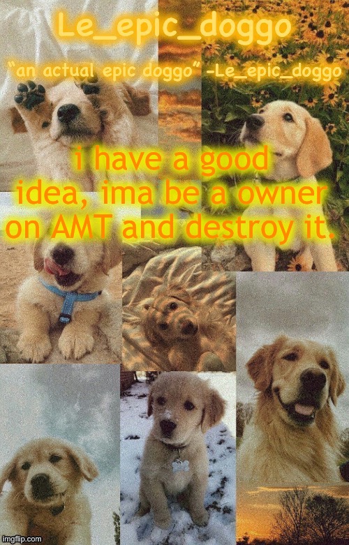 Doggo temp by doggo. Wait what that’s confusing | i have a good idea, ima be a owner on AMT and destroy it. | image tagged in doggo temp by doggo wait what that s confusing | made w/ Imgflip meme maker