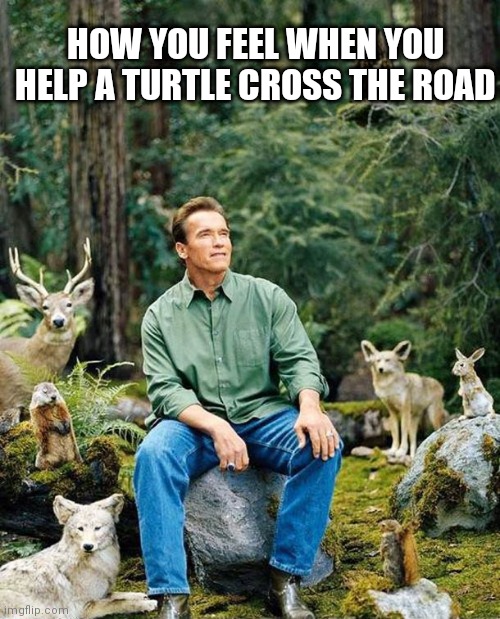 There you go little guy... |  HOW YOU FEEL WHEN YOU HELP A TURTLE CROSS THE ROAD | image tagged in arnold schwarzenegger,turtles,a helping hand,helping,funny memes | made w/ Imgflip meme maker