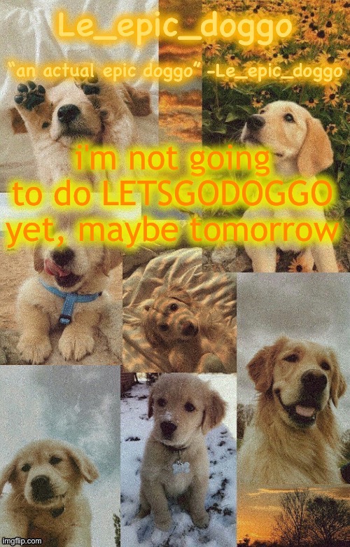 Doggo temp by doggo. Wait what that’s confusing | i'm not going to do LETSGODOGGO yet, maybe tomorrow | image tagged in doggo temp by doggo wait what that s confusing | made w/ Imgflip meme maker