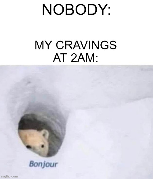 It just sucks | NOBODY:; MY CRAVINGS AT 2AM: | image tagged in bonjour | made w/ Imgflip meme maker