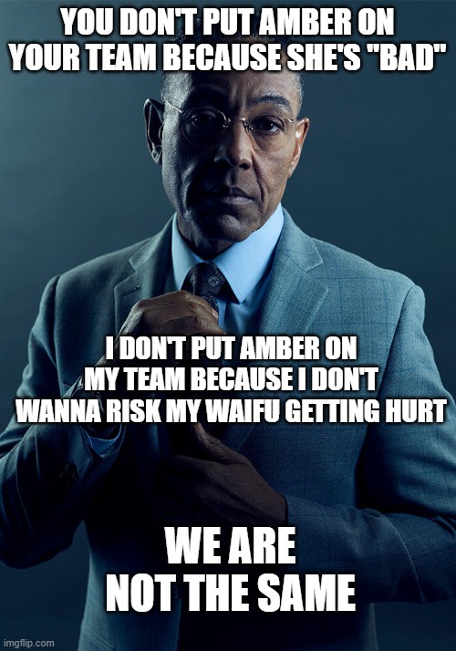 Genshin Impact | YOU DON'T PUT AMBER ON YOUR TEAM BECAUSE SHE'S "BAD"; I DON'T PUT AMBER ON MY TEAM BECAUSE I DON'T WANNA RISK MY WAIFU GETTING HURT; WE ARE NOT THE SAME | image tagged in gus fring we are not the same | made w/ Imgflip meme maker