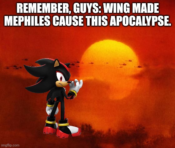Shadow accuses Wing for ALL of this. | REMEMBER, GUYS: WING MADE MEPHILES CAUSE THIS APOCALYPSE. | image tagged in apocalypse now,shadow the hedgehog,future,the council will decide your fate | made w/ Imgflip meme maker
