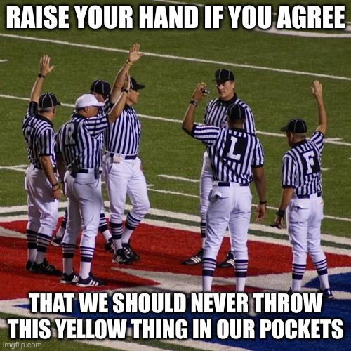 nfl | RAISE YOUR HAND IF YOU AGREE; THAT WE SHOULD NEVER THROW THIS YELLOW THING IN OUR POCKETS | image tagged in nfl | made w/ Imgflip meme maker