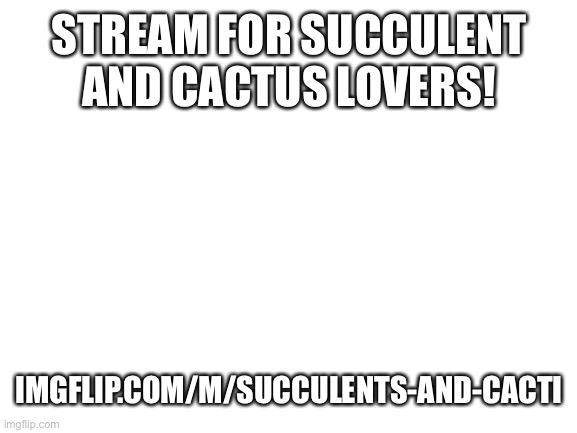 Calling all Succulent and Cactus lovers! | STREAM FOR SUCCULENT AND CACTUS LOVERS! IMGFLIP.COM/M/SUCCULENTS-AND-CACTI | image tagged in blank white template | made w/ Imgflip meme maker