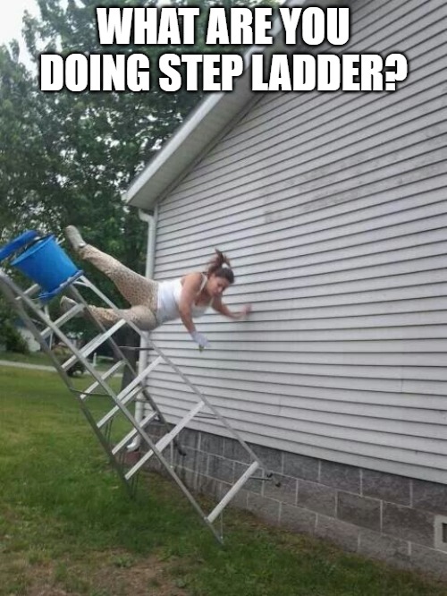 WHAT ARE YOU DOING STEP LADDER? | image tagged in image tag | made w/ Imgflip meme maker