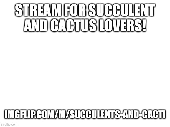 Calling all Succulent and Cactus lovers! | STREAM FOR SUCCULENT AND CACTUS LOVERS! IMGFLIP.COM/M/SUCCULENTS-AND-CACTI | image tagged in blank white template,succulent,cacti | made w/ Imgflip meme maker