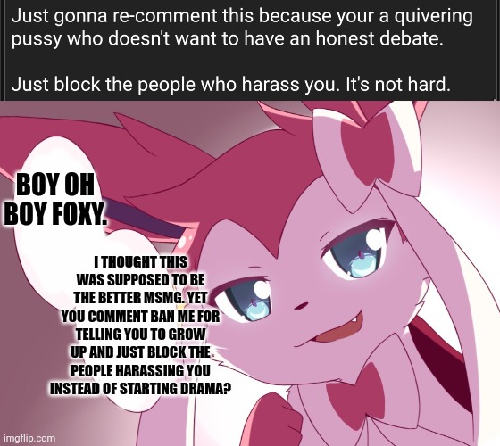 They also hated Jesus because he told them the truth xd | BOY OH BOY FOXY. I THOUGHT THIS WAS SUPPOSED TO BE THE BETTER MSMG. YET YOU COMMENT BAN ME FOR TELLING YOU TO GROW UP AND JUST BLOCK THE PEOPLE HARASSING YOU INSTEAD OF STARTING DRAMA? | image tagged in sylveon | made w/ Imgflip meme maker