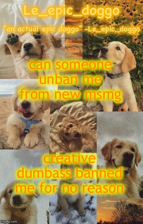 Doggo temp by doggo. Wait what that’s confusing | can someone unban me from new msmg; creative dumbass banned me for no reason | image tagged in doggo temp by doggo wait what that s confusing | made w/ Imgflip meme maker
