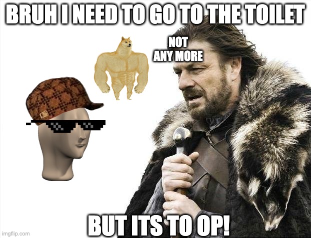 Brace Yourselves X is Coming | BRUH I NEED TO GO TO THE TOILET; NOT ANY MORE; BUT ITS TO OP! | image tagged in memes,brace yourselves x is coming | made w/ Imgflip meme maker