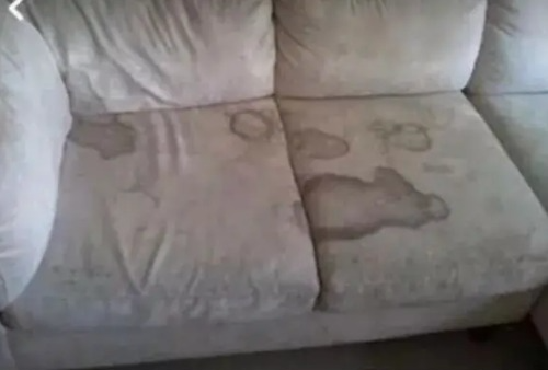 Jeffrey's well used couch.. Blank Meme Template