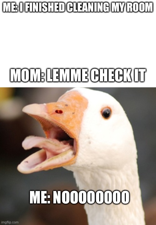 Don’t open that closet! | ME: I FINISHED CLEANING MY ROOM; MOM: LEMME CHECK IT; ME: NOOOOOOOO | image tagged in silly goose | made w/ Imgflip meme maker