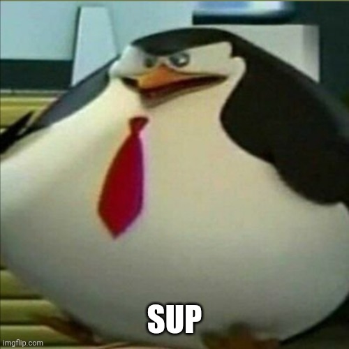 Sup | SUP | image tagged in fat penguin | made w/ Imgflip meme maker