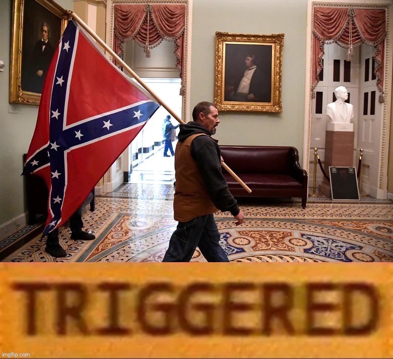 Jan. 6 Confederate flag triggered | image tagged in jan 6 confederate flag triggered | made w/ Imgflip meme maker