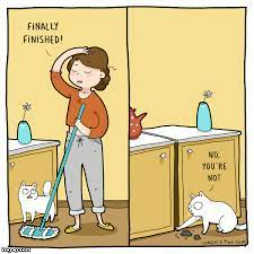 A Cat's Way Of Thinking | image tagged in memes,comics,cats,done,i do not think that means what you think it means,it's not gonna happen | made w/ Imgflip meme maker