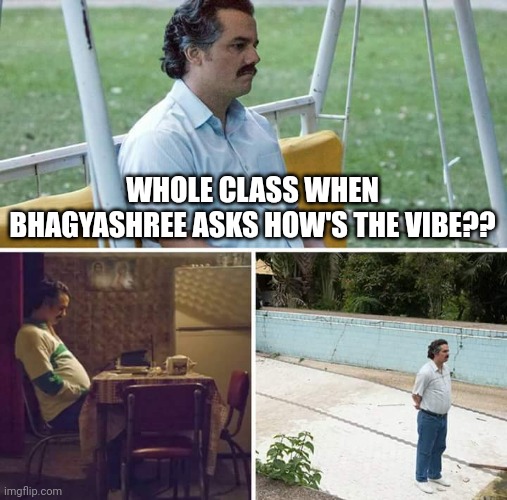 Sad Pablo Escobar | WHOLE CLASS WHEN BHAGYASHREE ASKS HOW'S THE VIBE?? | image tagged in memes,sad pablo escobar | made w/ Imgflip meme maker