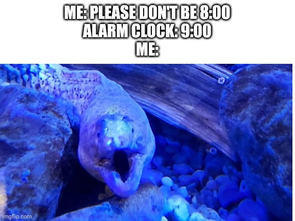 Never happened to me but it must suck | ME: PLEASE DON'T BE 8:00

ALARM CLOCK: 9:00

ME: | image tagged in surprise,alarm clock | made w/ Imgflip meme maker