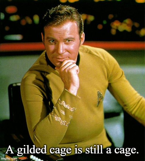 captain kirk | A gilded cage is still a cage. | image tagged in captain kirk | made w/ Imgflip meme maker