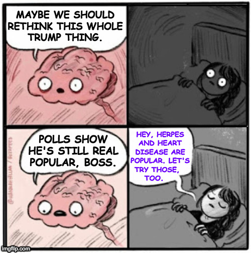 Bad decisions are popular. | MAYBE WE SHOULD
RETHINK THIS WHOLE
TRUMP THING. HEY, HERPES
AND HEART
DISEASE ARE
POPULAR. LET'S
TRY THOSE,  
TOO. POLLS SHOW
HE'S STILL REAL
POPULAR, BOSS. | image tagged in memes,brain during sleep,popularity,bad decisions | made w/ Imgflip meme maker